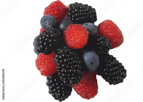 Fresh berries raspberries blackberries blueberries antioxidant fruit healthy food closeup isolated 100 editable stock vector illustration