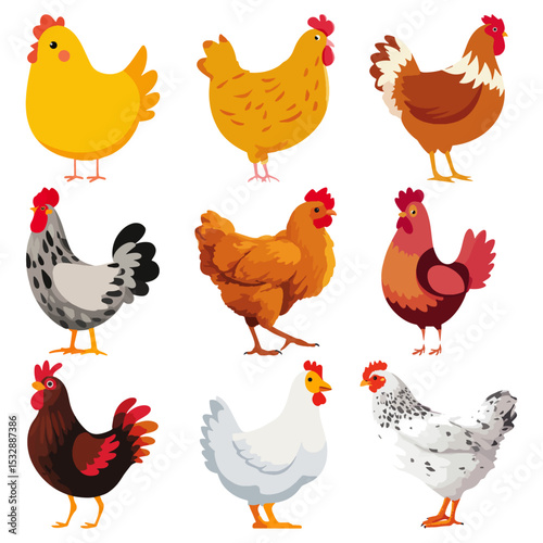 Set of Chicken Flat Vector Illustration on Transparent Background	