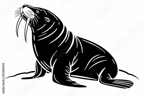 walrus sihouette black vector