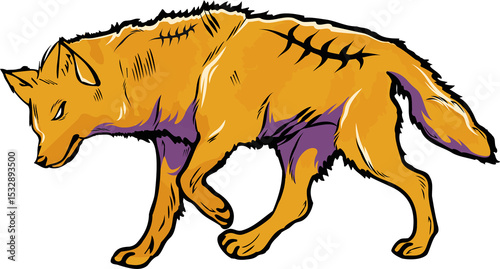Vector orange wolf is walking right on transparent background showing purple shading and scratches