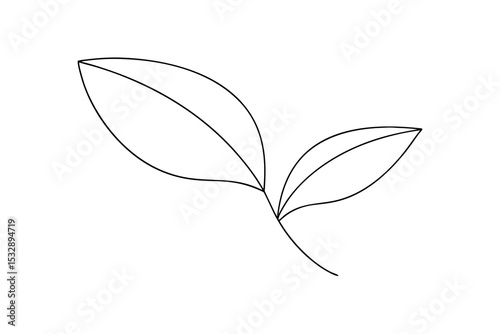Simple line art drawing of two leaves minimalist botanical illustration