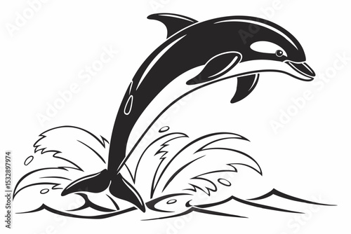 porpoise sihouette black vector