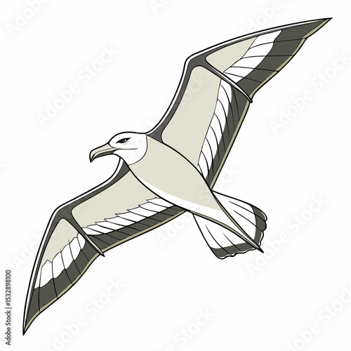 Majestic albatross in flight graceful wings soaring ocean bird wildlife nature