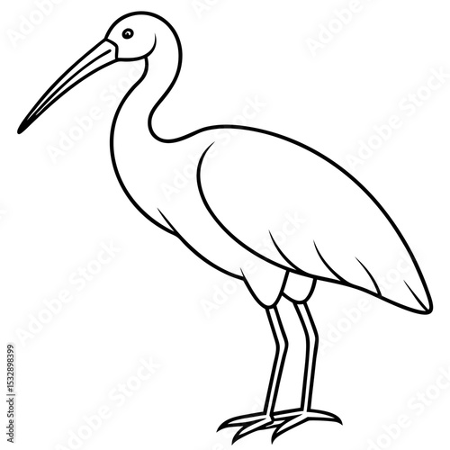 Spoonbill Outline Vector in Simple Line Style