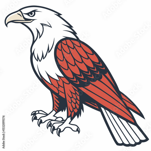 Majestic red and white eagle bird of prey vector illustration