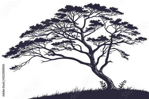 Silhouette of a windswept tree on a hill