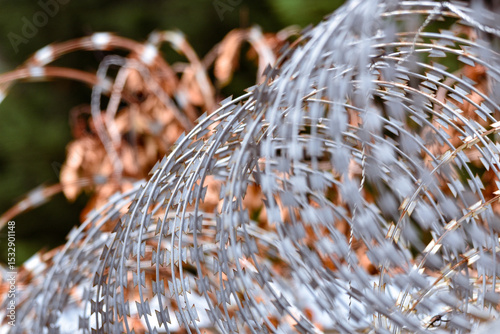 Φωτογραφία Razor wire on top of a wall with greenery in the background