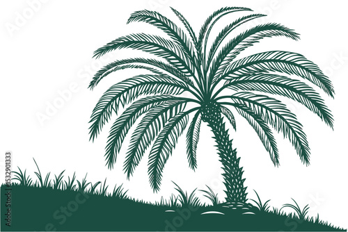 Dark green palm tree silhouette with grass