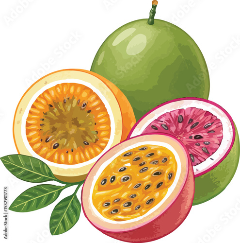 watermelon and melon