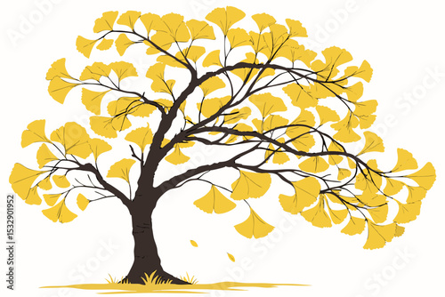 Autumn ginkgo tree illustration yellow leaves and branches
