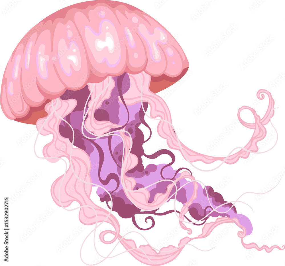 Obraz premium Stylized vector jellyfish is floating, pink-purple bell flowing tentacles, transparent background