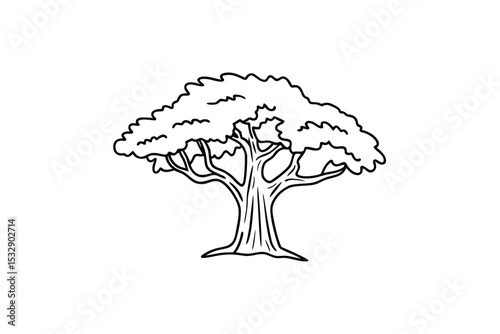 Hand drawn line art tree illustration nature graphic design element