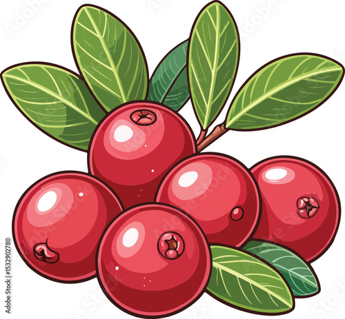 vector illustration of ripe cherry
