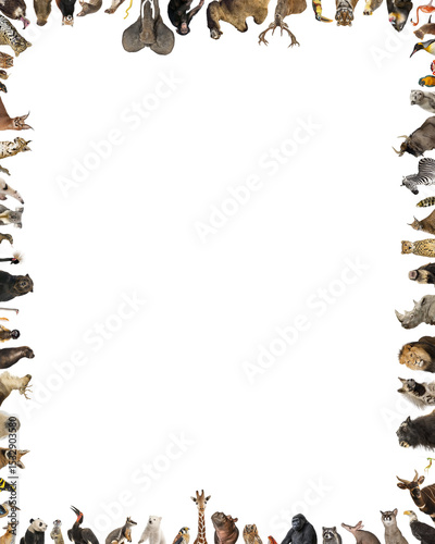Large group of animals forming a border on white background