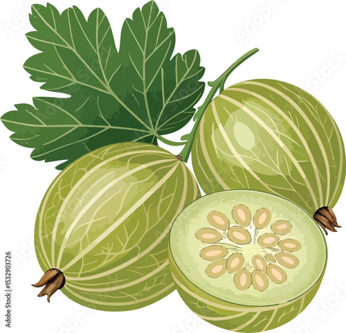 set of fresh fruit