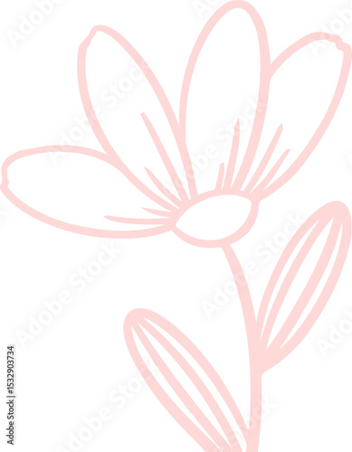 Fototapeta Naklejka Na Ścianę i Meble -  Displaying stylized pink line art flower on transparent background, highlighting petals stem leaves
