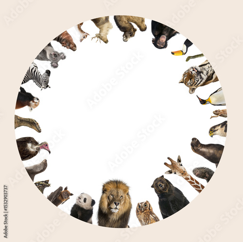 Wild animals forming a circle, lion, tiger, bear, and more