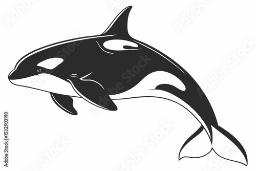 orca sihouette black vector