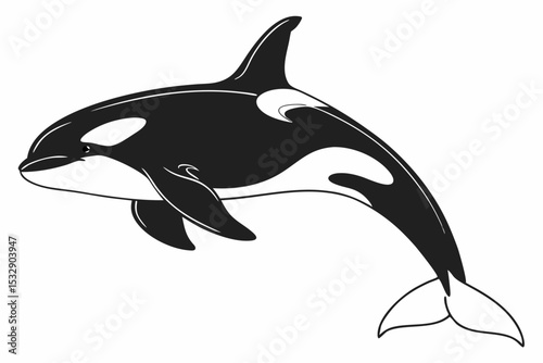 orca sihouette black vector