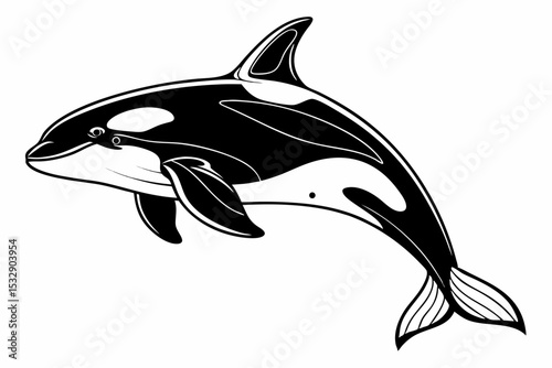 orca sihouette black vector
