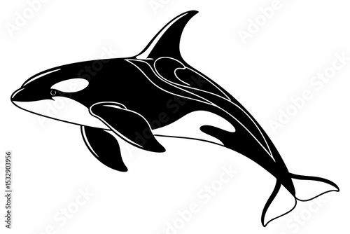 orca sihouette black vector