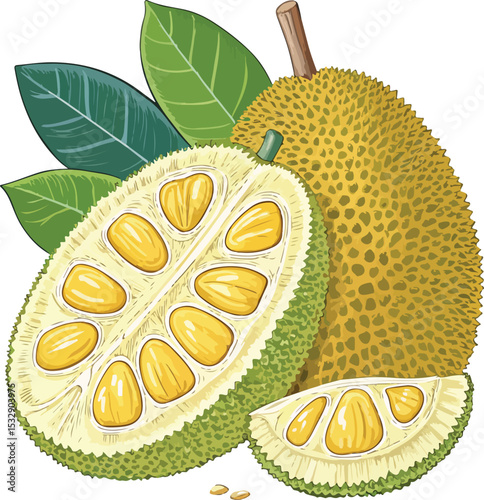 vector illustration of a pineapple