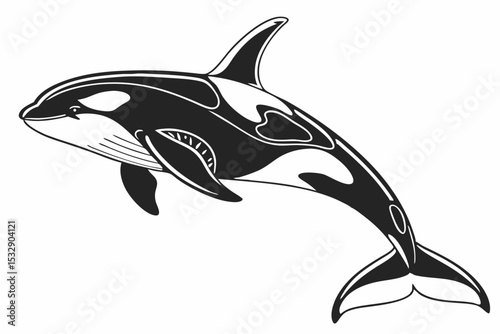 orca sihouette black vector