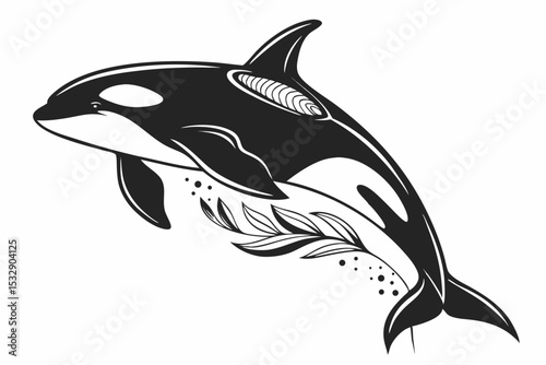 orca sihouette black vector