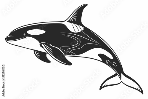 orca sihouette black vector