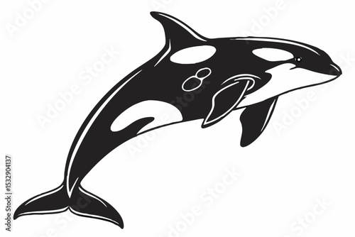 orca sihouette black vector