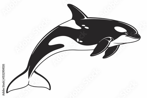 orca sihouette black vector