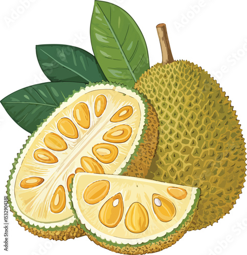 vector illustration of pineapple