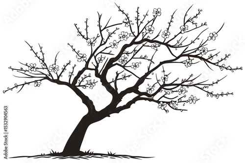 Black and white silhouette of a blooming tree