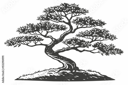 Elegant black and white bonsai tree illustration