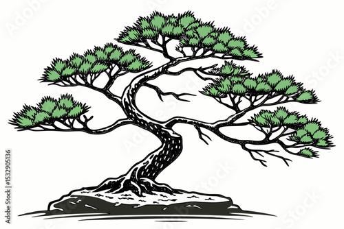Elegant hand drawn bonsai pine tree illustration