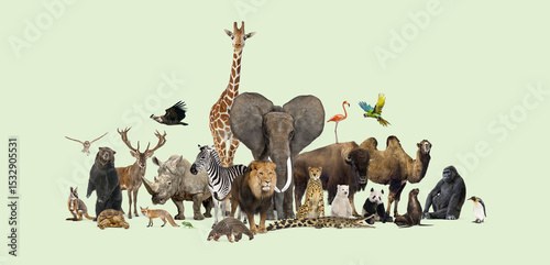 Large group of wild animals standing together including birds and mammals