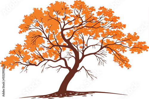 Autumnal tree illustration with orange leaves