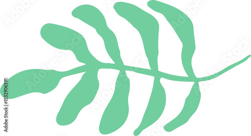 Stylized green frond is floating in flat design, showing curved leaflets on transparent background