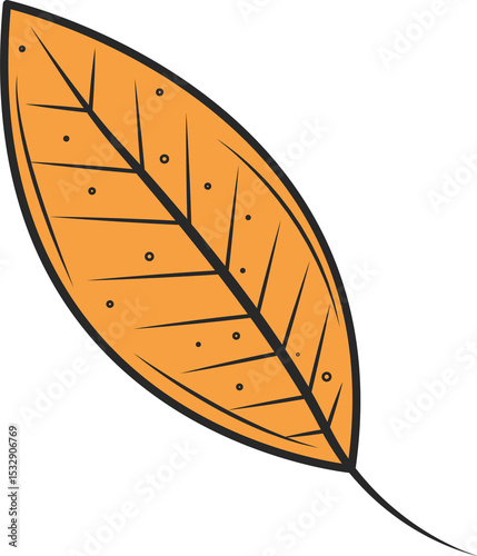 Stylized orange leaf is floating in vector art with outline and veins on transparent background