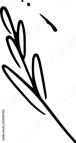 Plant branch is being shown as simple sketch with oval leaves, dots and arc, transparent background