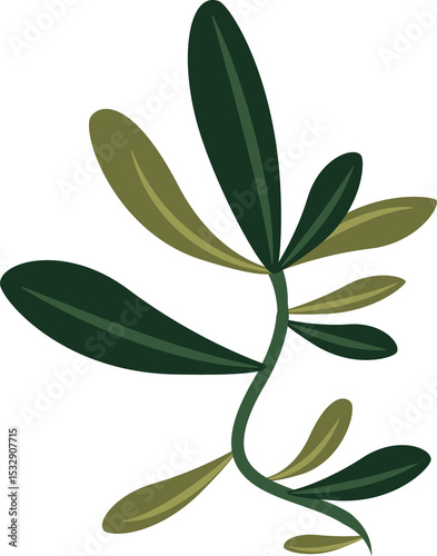 Stylized plant vine is flowing in flat design, with elongated green leaves, transparent background