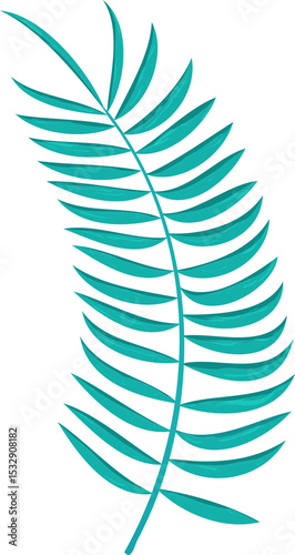 Teal botanical frond is being shown in flat design with rachis and leaflets, transparent background