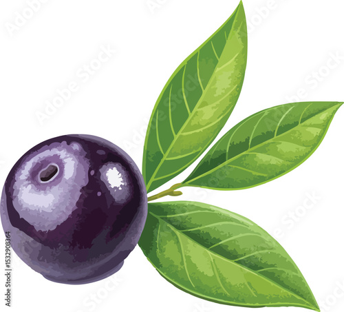 plums with leaves