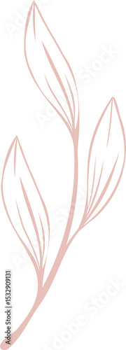 Stylized plant branch is being displayed in minimalist pastel pink line art, transparent background