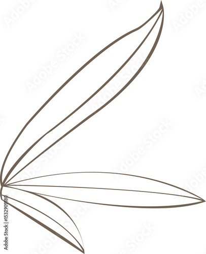 Brown leaf outlines are fanning in flat style on transparent background, abstract motif, copy space