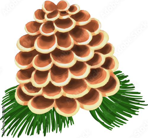 stylized pine cone is resting on pine needles with brown cream-edged scales transparent background