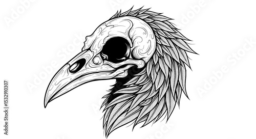 Raven Skull with Feather Detail in Dark Gothic Style
