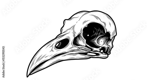 Dark Raven Skull Illustration in Monochrome Style
