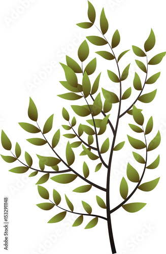 Slender brown plant stem is branching into green leaves in 3D render with transparent background