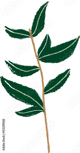 Flat botanical illustration is showing slender branch with green leaves, transparent background